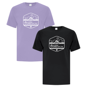 ATC Everyday® Cotton T-Shirt 9oz