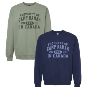 Gildan Softstyle® Midweight Crewneck Sweatshirt