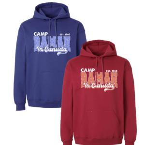 Gildan Softstyle® Midweight Hooded Sweatshirt